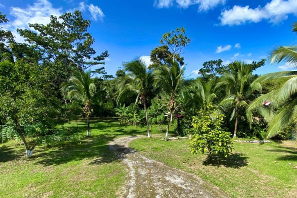 Into The Greens Madre de Dios Exterior foto