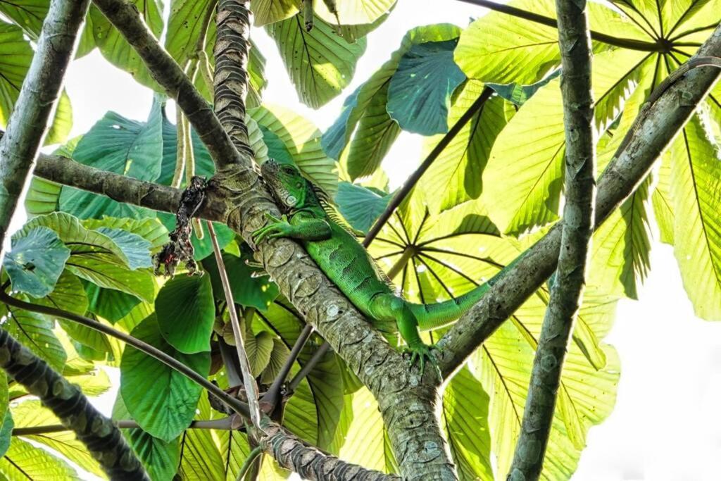 Into The Greens Madre de Dios Exterior foto