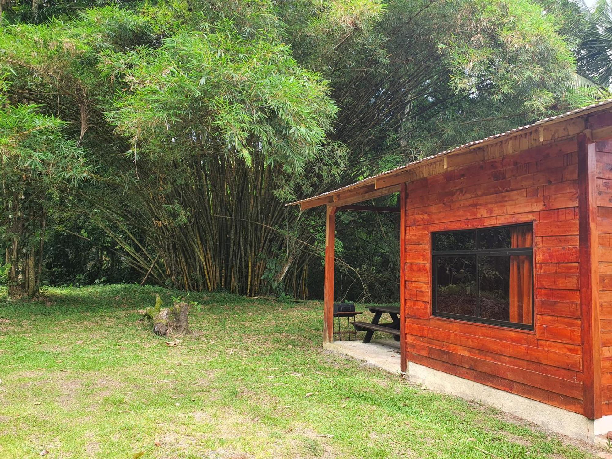 Into The Greens Madre de Dios Exterior foto